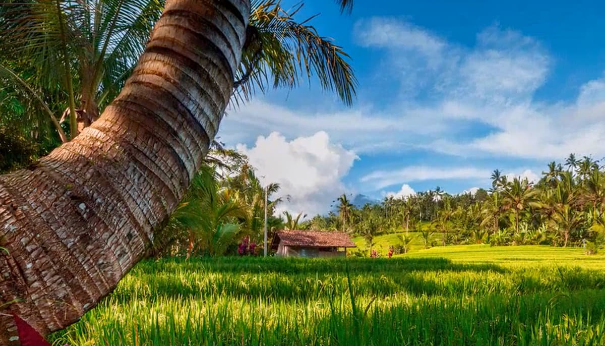 How to make travel AI videos using custom or internet images with Vuela AI