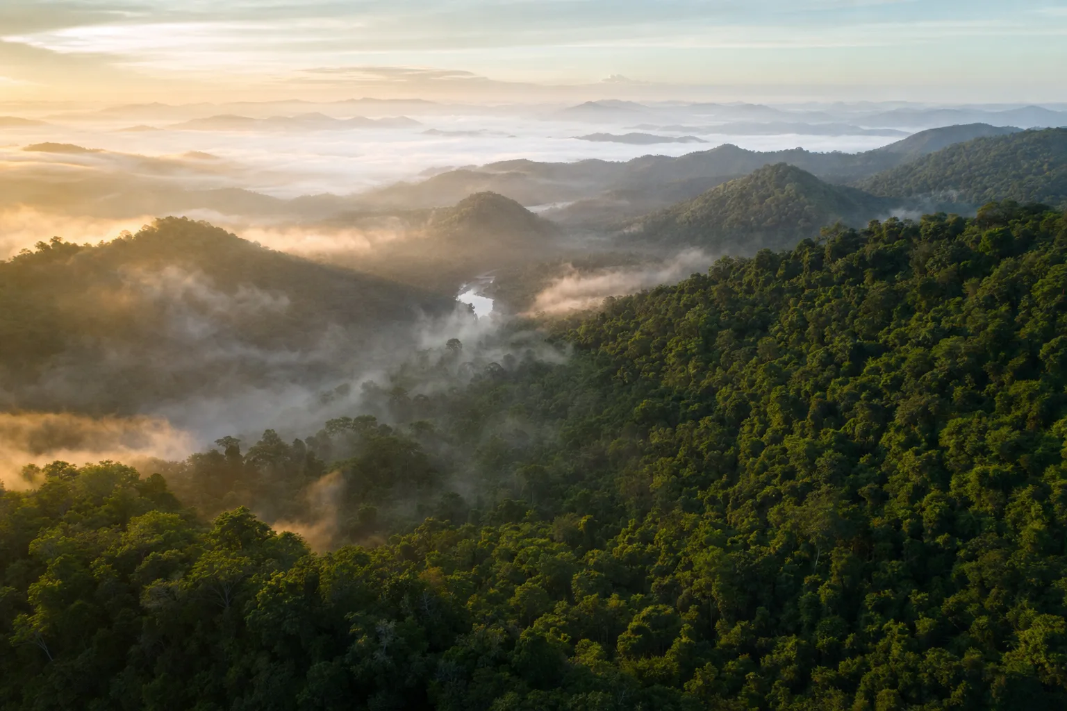 Aerial drone shot over an emerald forest valley at dawn, soft mist between ridges.